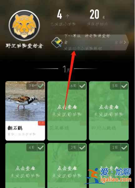 蚂蚁森林神奇物种勋章怎么获得？