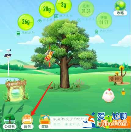 蚂蚁森林地球卫士勋章取下来又怎么挂上去？