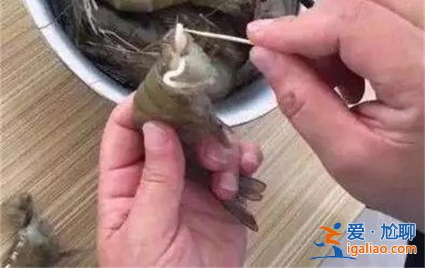 虾头里扯出的白线是寄生虫吗[虾头里扯出]？