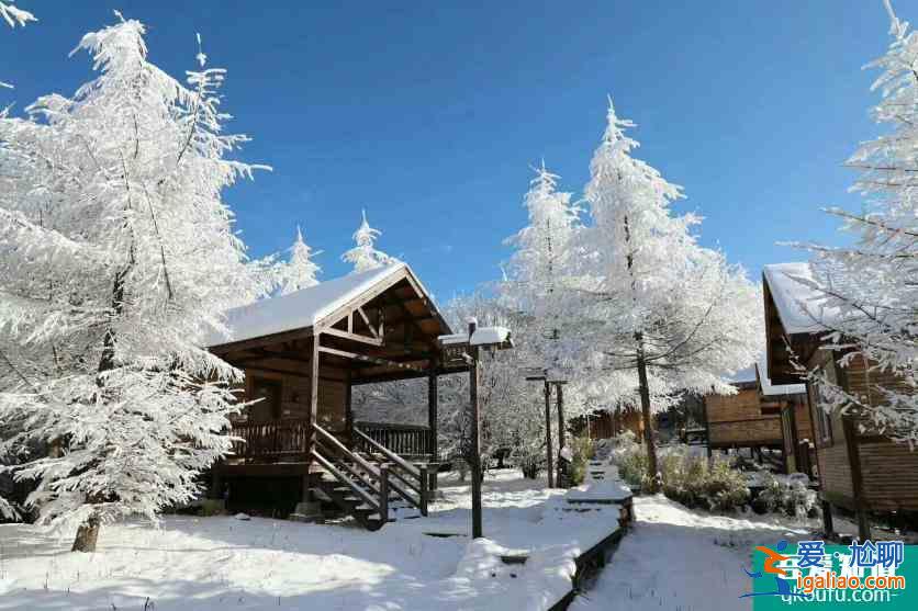 神农架冬日滑雪攻略？