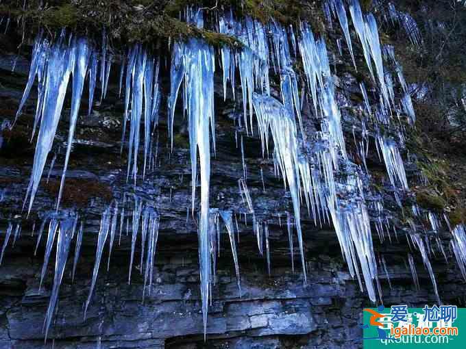 神农架冬日滑雪攻略？