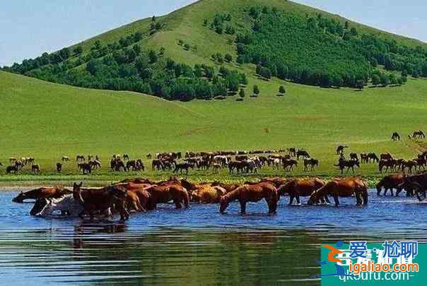 2021受疫情影响内蒙古暂停跨省团队旅游？