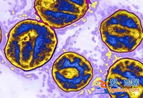 全球第5位艾滋病治愈者出现 已经停药4年时间？
