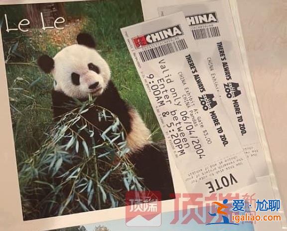 专家已赴美照看“丫丫”并协商回国？