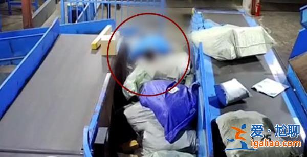 猝死的60岁分拣工不算“劳动者”？？