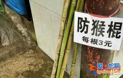 将继续推进“人猴分离”？
