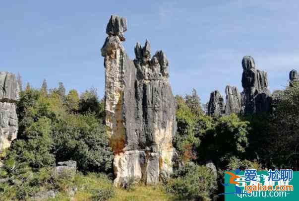 2021昆明石林风景区半价活动内容？