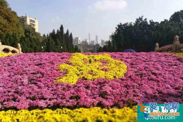 2021广州黄花岗菊花展举办时间？