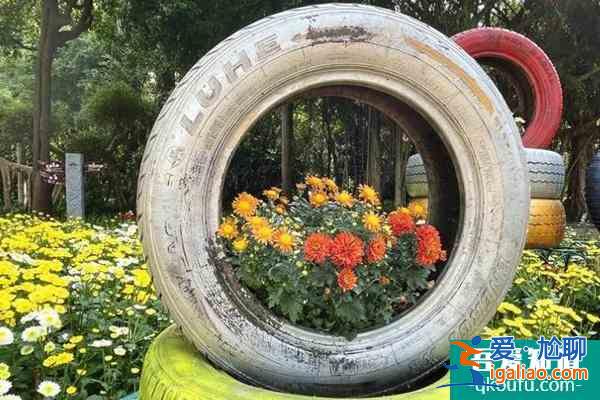 2021青秀山菊花展举办时间及地址？