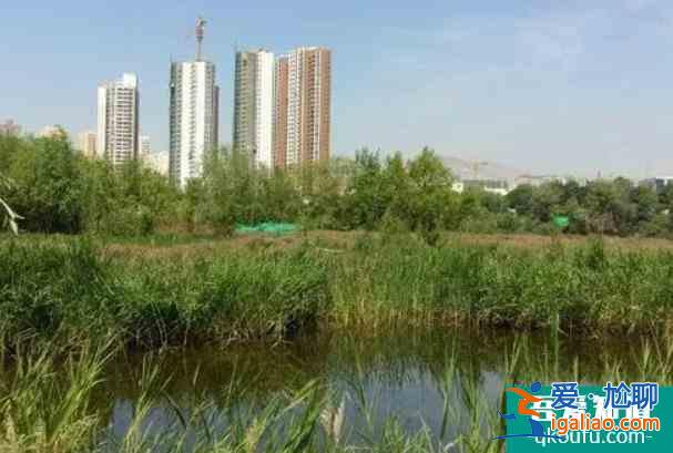 2021甘肃有序恢复跨省团队旅游和公共文化服务场所？