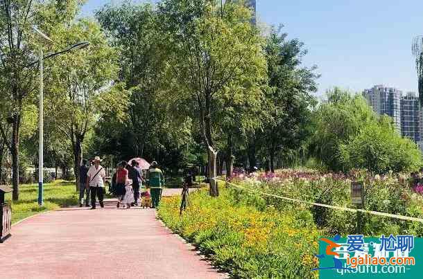 2021甘肃有序恢复跨省团队旅游和公共文化服务场所？