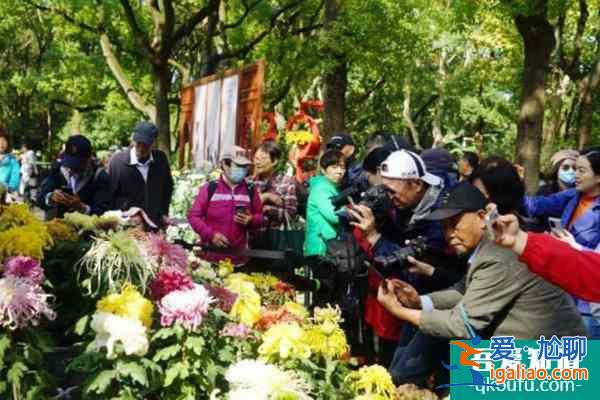2021上海菊花展将延长至12月3日？