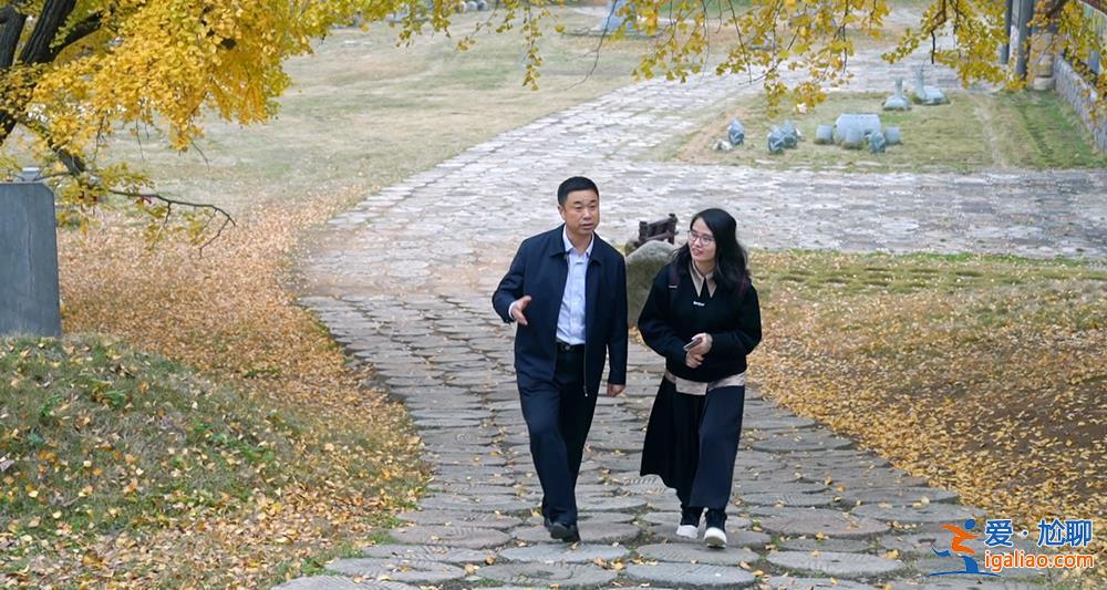 “丑出圈”是偶然 不会跟着偶然走下去？