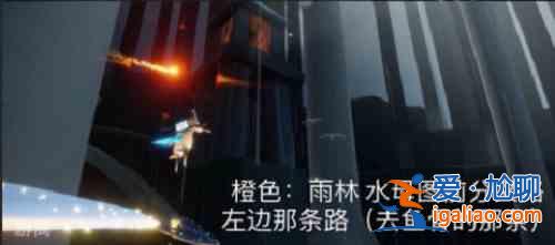 光遇11.5每日任务攻略分享：2021年11月5日每日任务细节分析？