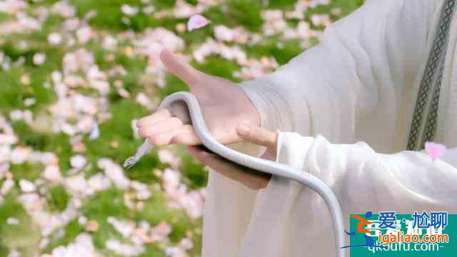 《琉璃》网友都说追定了，与《花千骨》同为女性仙侠？