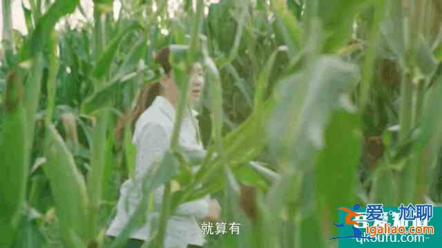 《枫叶红了》提档播出，孙茜用“剧抛脸”演技扛起了央视大女主？