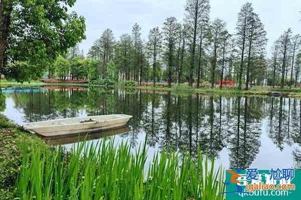 东湖风景区旅游攻略 搞清楚7条线畅玩整个东湖？