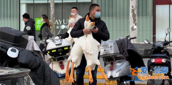 北京多个地铁口有人扫码送大鹅，真实身份未知[地铁口]？