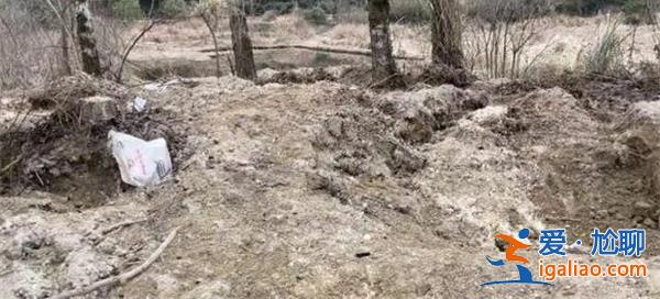 锂都宜春被爆盗采锂矿乱象 碳酸锂价格有望止跌回升？