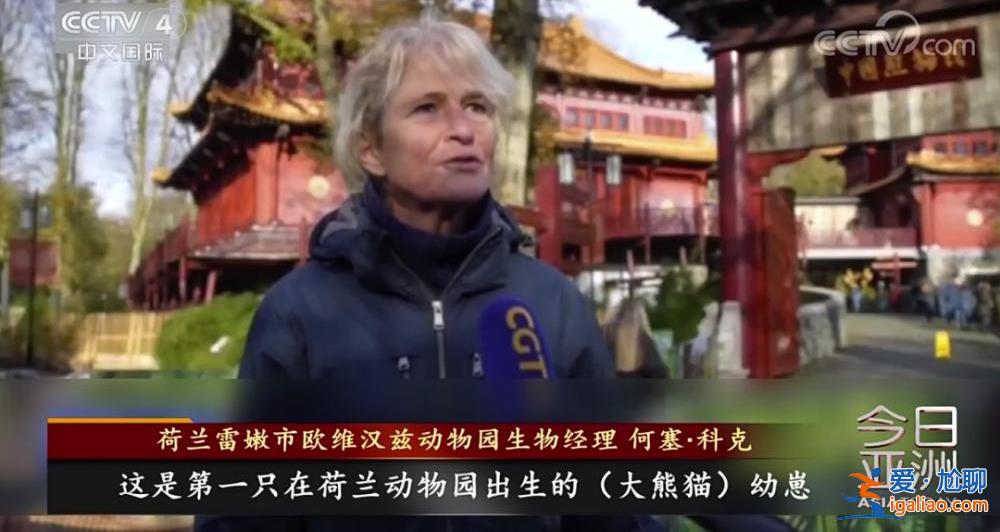 除皮肤病导致的毛发脱落外 食欲良好？