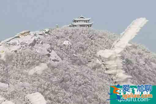 2022金顶山风景区6.9元门票获取攻略？