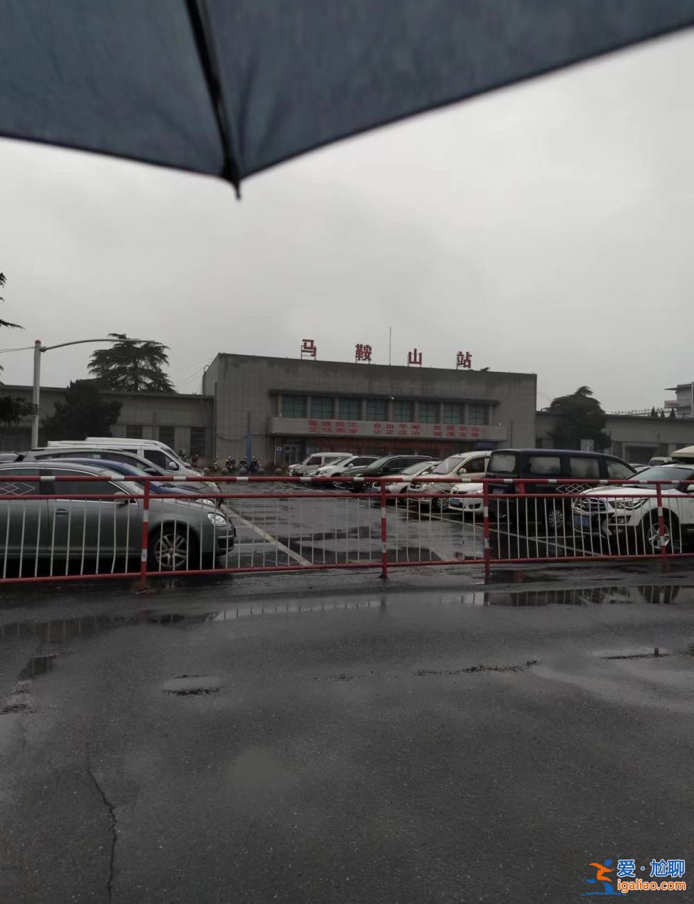 “从上海坐公交到北京”登上热搜后 他理解了那个被网暴的粉发女孩？