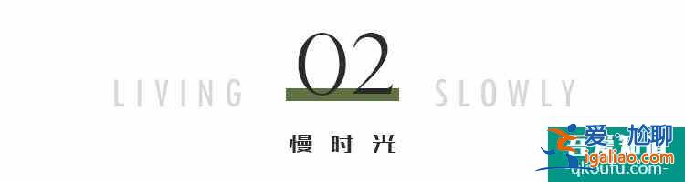 《三十而已》大结局：顾佳算什么？她才是隐藏的最强王者？