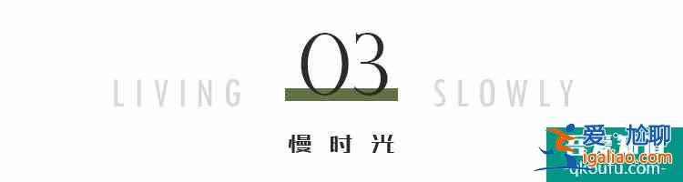 《三十而已》大结局：顾佳算什么？她才是隐藏的最强王者？