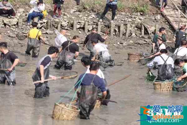 2021西溪湿地干塘节时间及门票？