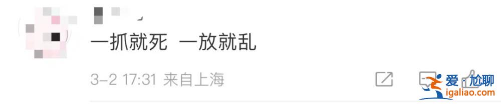 上海最大露天夜市关了 城管称“未经属地备案” 网友吵翻了？