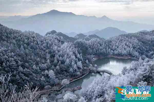 德化九仙山风景区看雾凇最佳时间？