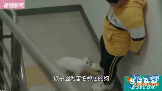 警察妻子爱上杀人犯老公，李准基最新韩剧《恶之花》来了？