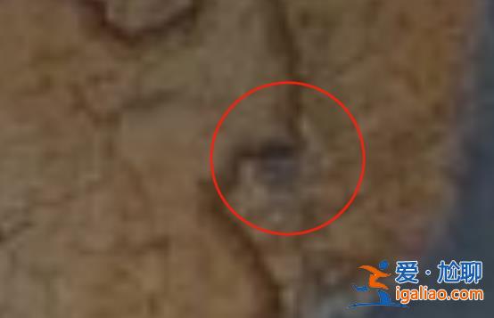 俄杜马更新地图 将中俄界湖兴凯湖全划入俄境内？假的？