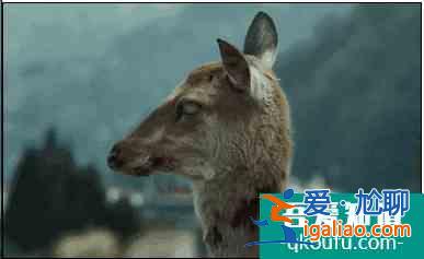 凭什么说《釜山行2》是不值一提的烂片？？