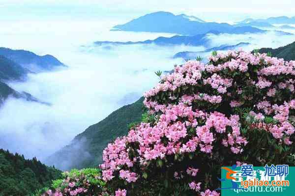 2022天台山华顶景区因受天气影响暂停对外开放通知？