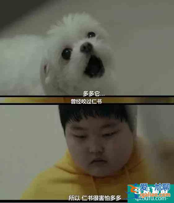 都来看看！韩国人又拍了一个咱们写不出来的剧？