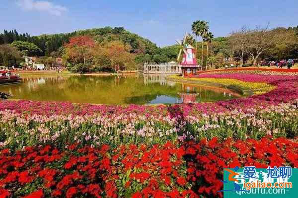 2022春节广州云台花园主题花展门票多少钱 好玩吗？