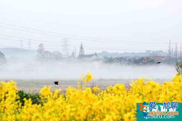 无锡斗山徒步路线及风光介绍？