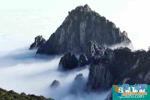 2021年底前将取消12301旅游投诉电话 并入12345？