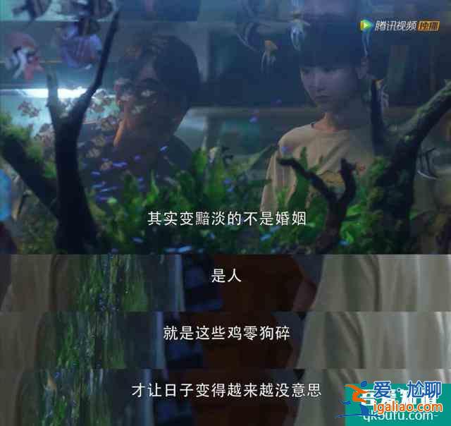 三十而已，为何天天上热搜？？