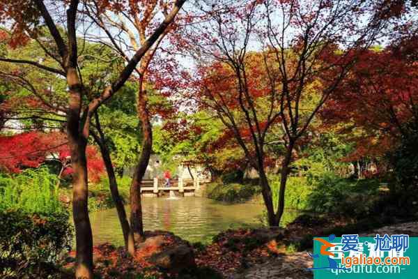 上海秋霞圃枫叶最佳观赏期2021？