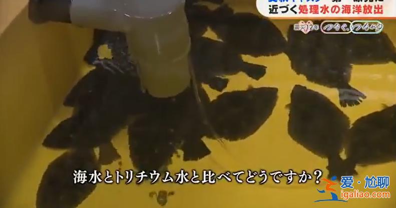 核污水储水箱即将饱和 机组建筑钢筋裸露？