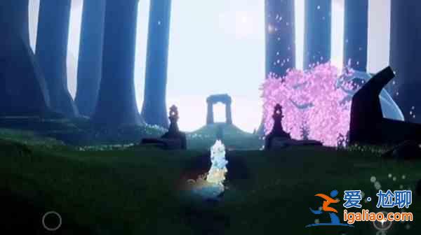 光遇2022花憩节先祖的位置在哪？2022花憩节先祖的位置指南与推荐？
