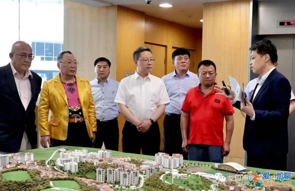 如何看待副省长、市委书记等组团出海？政协委员这样说？