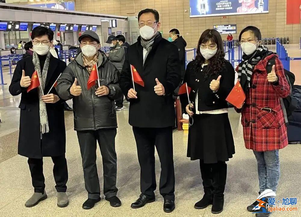 如何看待副省长、市委书记等组团出海？政协委员这样说？
