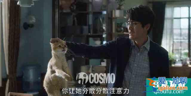 《三十而已》的男性角色，真没有令人失望？