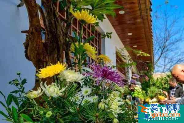 2021长沙岳麓山菊花展时间？