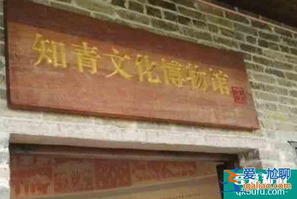 2021受疫情影响兴安漠川第三届银杏旅游节延期举行？