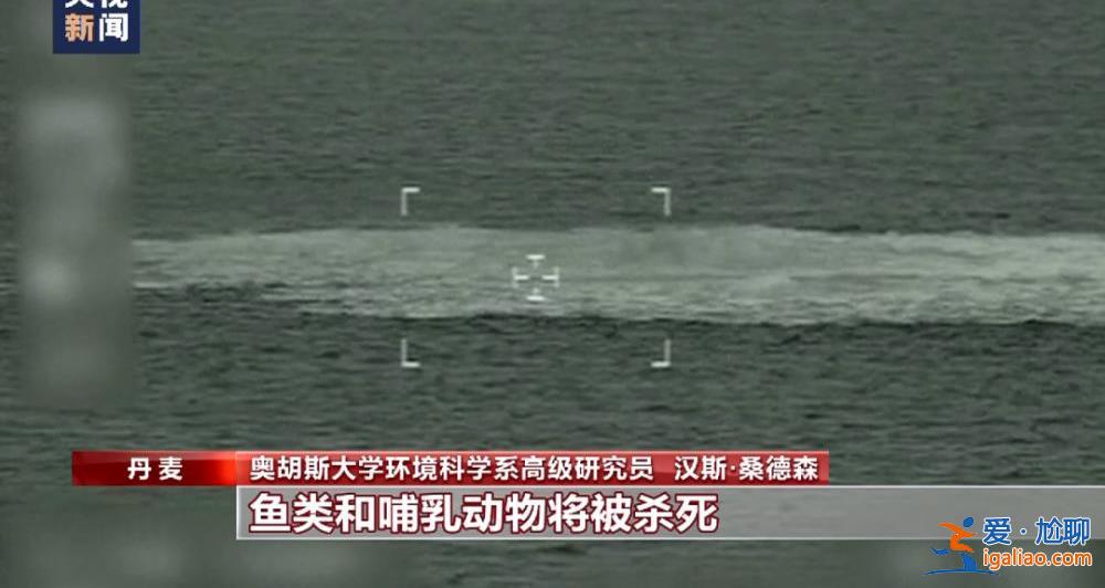 “北溪”爆炸事件凶手找到了？德国查到一艘涉嫌参与爆炸案的船只？