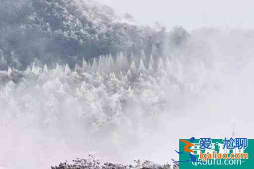 2月7日起天台山景区内宗教场所恢复对外开放？